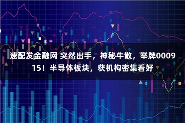速配发金融网 突然出手，神秘牛散，举牌000915！半导体板块，获机构密集看好