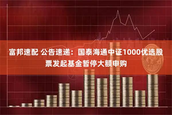 富邦速配 公告速递:国泰海通中证1000优选股票发起基金暂停大额申购